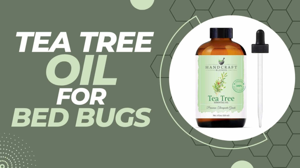 Tea tree oil for bed bugs