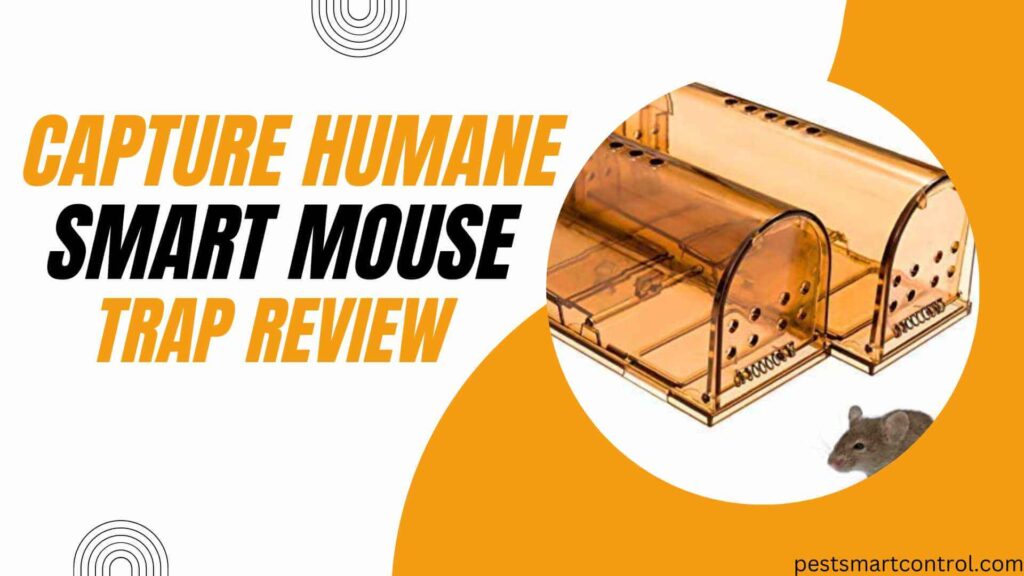 Capture Humane Smart Mouse Trap Review